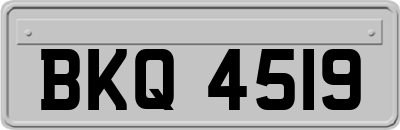 BKQ4519