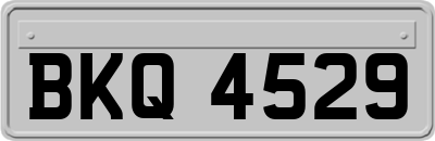 BKQ4529