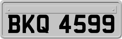 BKQ4599