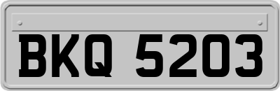 BKQ5203