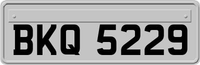 BKQ5229