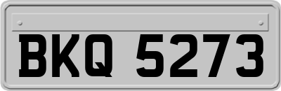 BKQ5273