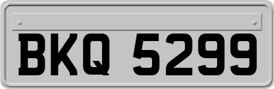 BKQ5299