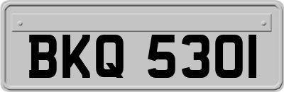 BKQ5301