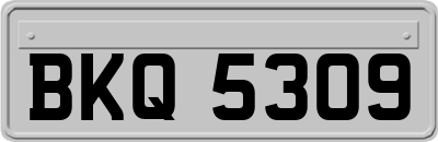 BKQ5309