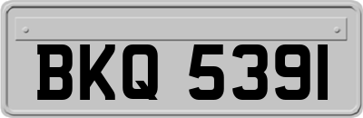 BKQ5391
