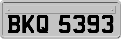 BKQ5393