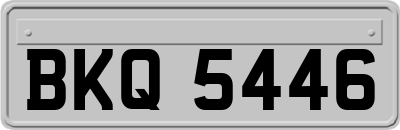 BKQ5446