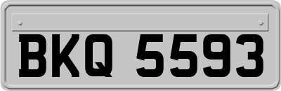 BKQ5593