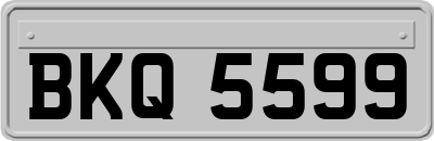 BKQ5599