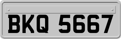 BKQ5667