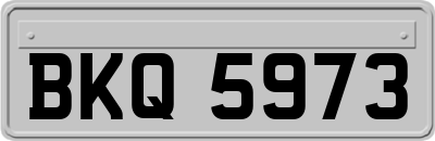 BKQ5973