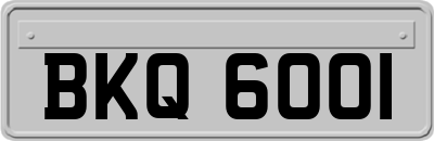 BKQ6001