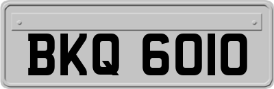 BKQ6010