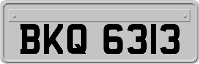 BKQ6313