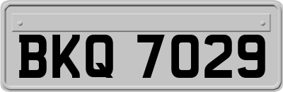 BKQ7029