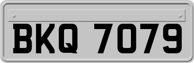 BKQ7079