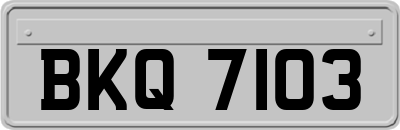 BKQ7103