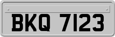 BKQ7123