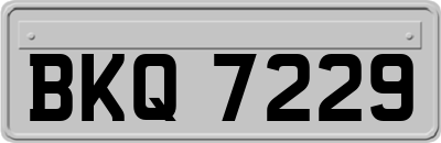 BKQ7229