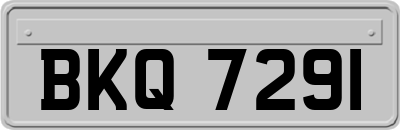 BKQ7291