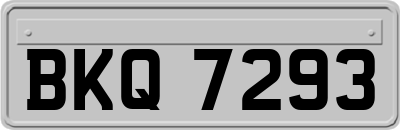BKQ7293
