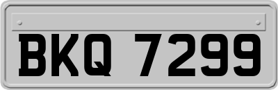BKQ7299