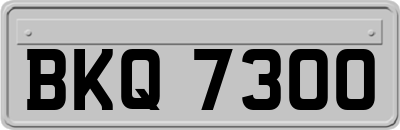 BKQ7300