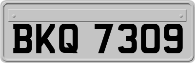 BKQ7309