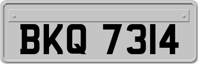 BKQ7314