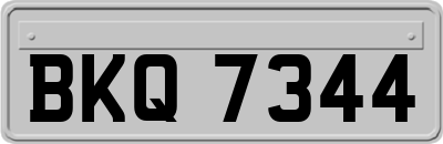 BKQ7344