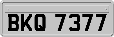 BKQ7377