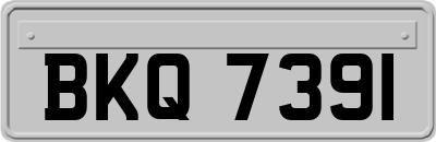 BKQ7391