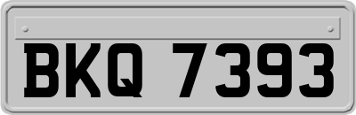 BKQ7393