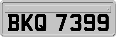 BKQ7399