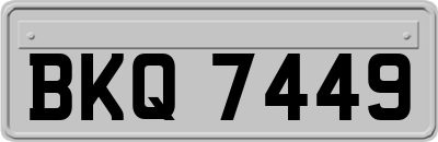 BKQ7449