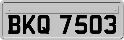 BKQ7503