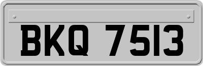 BKQ7513