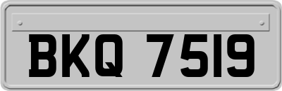BKQ7519