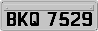 BKQ7529