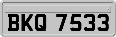 BKQ7533
