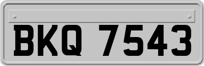 BKQ7543