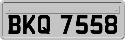 BKQ7558