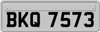 BKQ7573