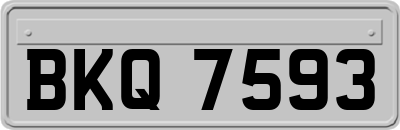 BKQ7593