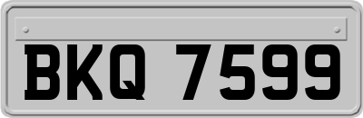 BKQ7599