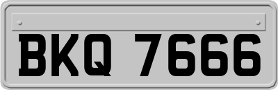 BKQ7666