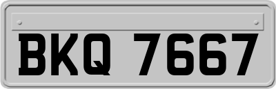 BKQ7667