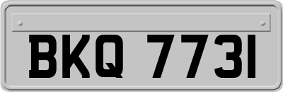 BKQ7731