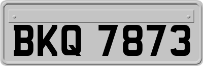 BKQ7873